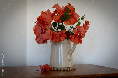 Wallpaper Mural Orange bougainvillea blossoms displayed in a vintage pottery jug Torontodigital.ca