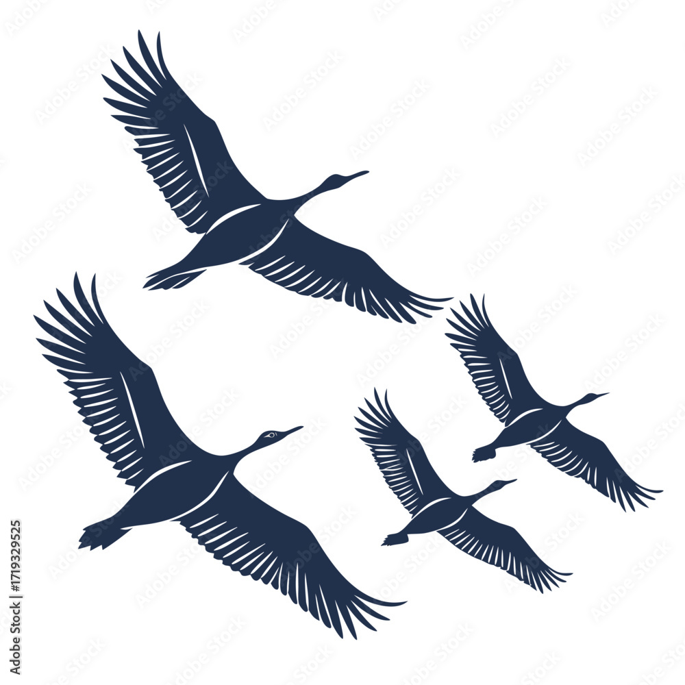 Obraz premium A flock of four birds in flight silhouetted against a white background