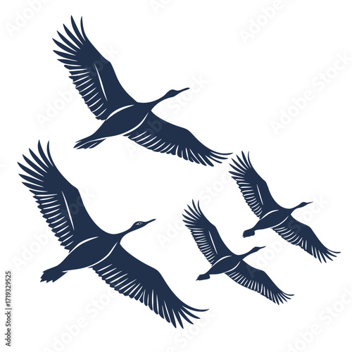 A flock of four birds in flight silhouetted against a white background
