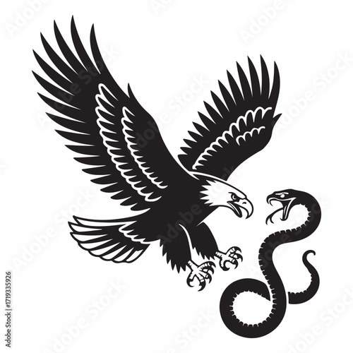eagle fiercely catching snake in silhouette