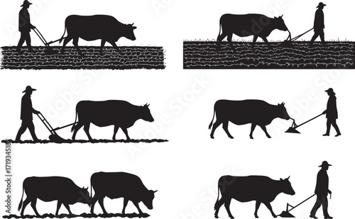 Silhouette farmer plowing field with oxen, traditional agriculture work, rural farming lifestyle, village cultivation scene, countryside farm animal illustration design