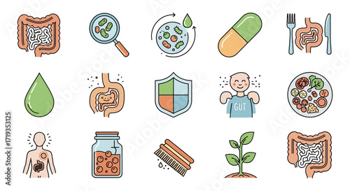 Gut health microbiome probiotics prebiotics digestive system.