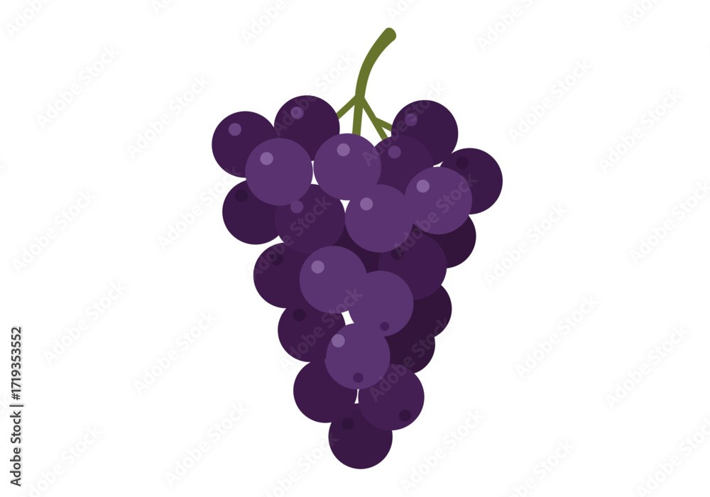 Fototapeta premium A bunch of purple grapes with light spots on white background