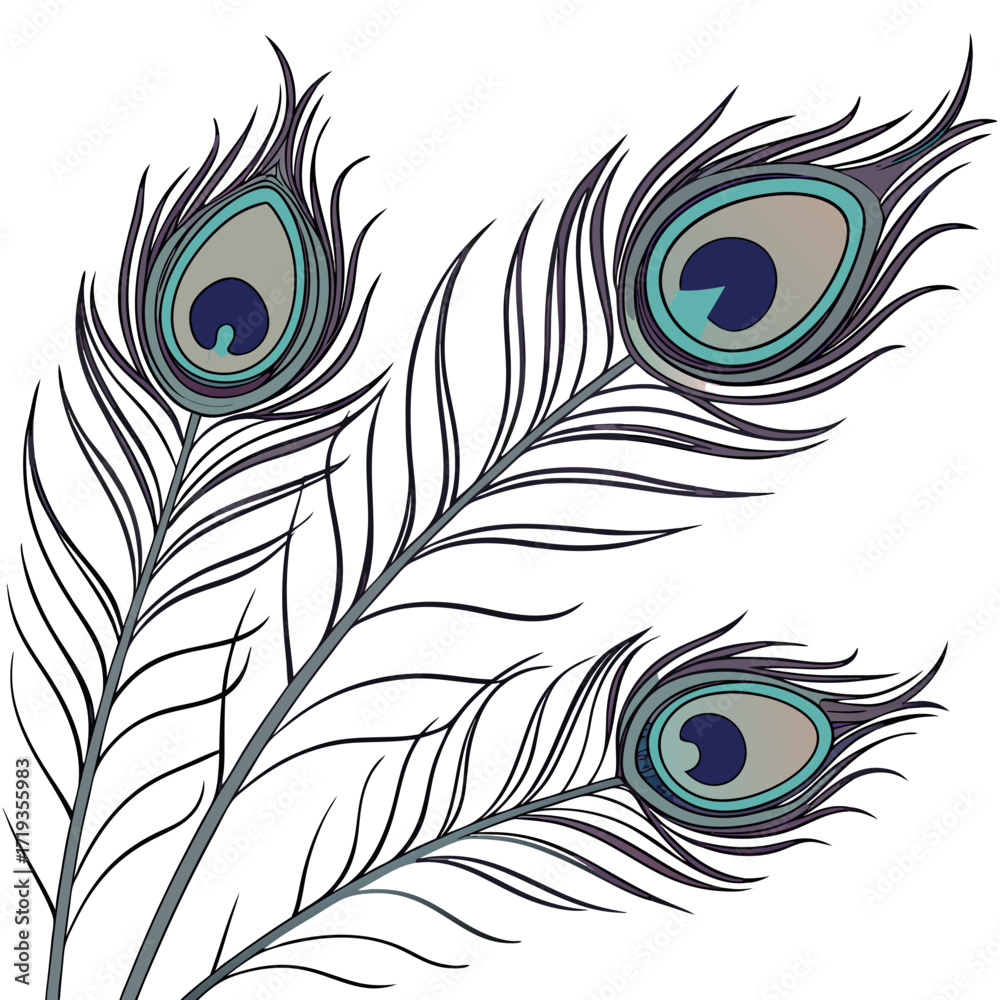 Obraz premium Vector art of elegant peacock feather illustration, showcasing intricate details and vibrant colors, perfect for adding a touch of sophistication to any design