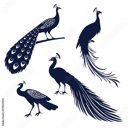 Vector art of collection of elegant peacock silhouettes, a set of graceful birds with intricate feather details, showcasing natures beauty and artistic design in vector form