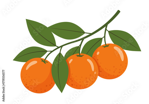 Three oranges on a branch with leaves are displayed