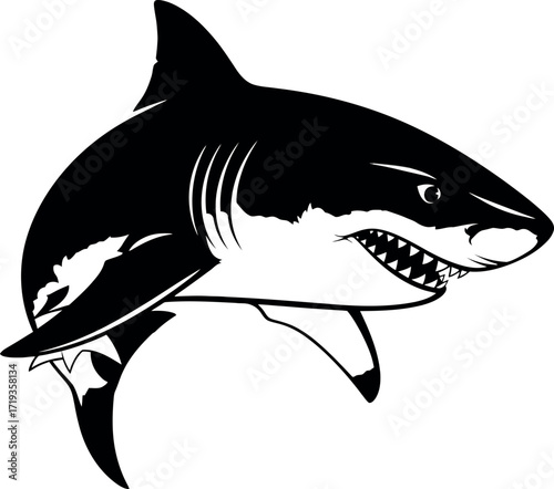  Vector art of black and white illustration of a shark with sharp teeth