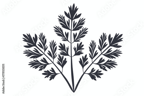 Minimalist of Parsley Branch on White Background Flat Style
