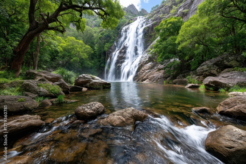 Fototapeta premium Waterfall cascading into a rocky pool in a lush forest
