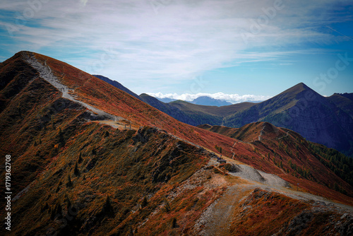 Fototapeta Naklejka Na Ścianę i Meble -  grand teton national park