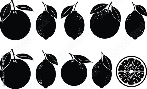 Black and white citrus fruit silhouettes, orange lemon vector illustration, fresh tropical fruit icons, healthy food design, botanical clipart, 