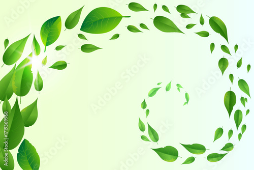 Fresh green foliage swirl, spring and summer leaves composition