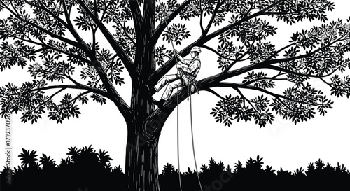 Art & IllustrationArborist climbing tree with safety ropes, black and white illustration, tree care worker, forestry profession, outdoor job, nature maintenance, skilled labor, tree trimming