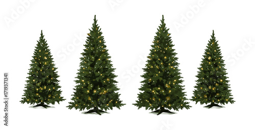 christmas tree branches