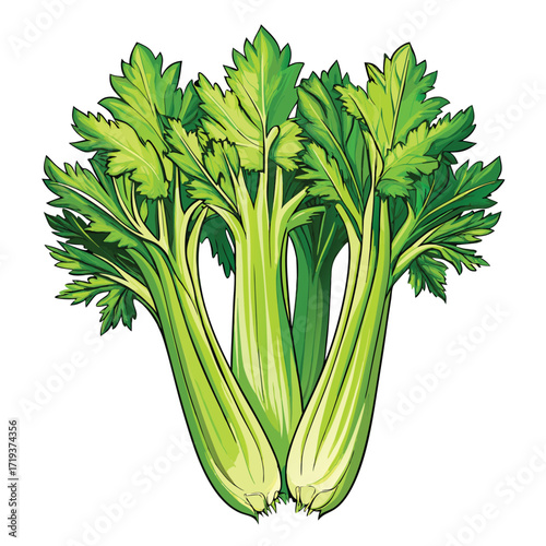Fresh green celery stalks with leaves present a healthy, vibrant vegetable option