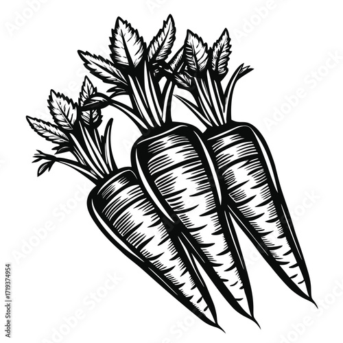 Black and white carrots stand with pointed roots and foliage for an earthy feel
