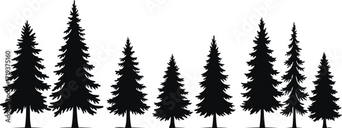 Art & IllustrationSilhouette of pine trees, evergreen forest illustration, black spruce tree set on white background, nature landscape graphic, vector art