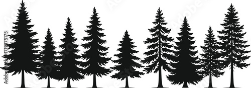 Art & IllustrationSilhouette of pine trees, evergreen forest illustration, black spruce tree set on white background, nature landscape graphic, vector art