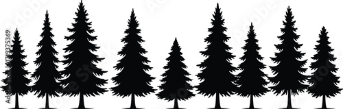 Art & IllustrationSilhouette of pine trees, evergreen forest illustration, black spruce tree set on white background, nature landscape graphic, vector art