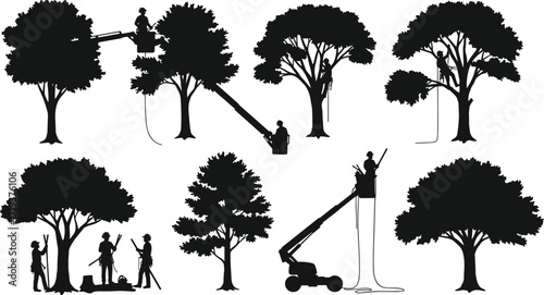 Art & IllustrationTree trimming workers, arborists silhouettes, tree care services, landscaping crew, aerial lift, climbing gear, gardening tools, urban forestry, maintenance team, outdoor work