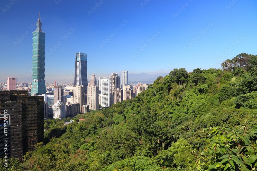 Fototapeta premium Taipei City urban skyline and forest seen from Elephant Mountain. Taipei, Taiwan.