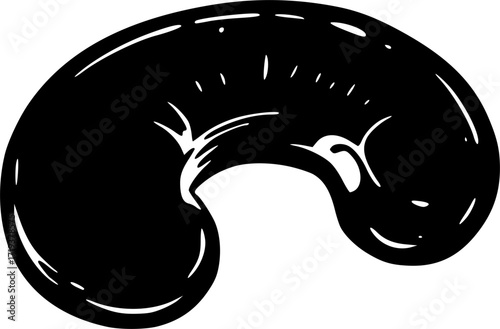 vector black and white silhouette of cashew fruit on a white background
