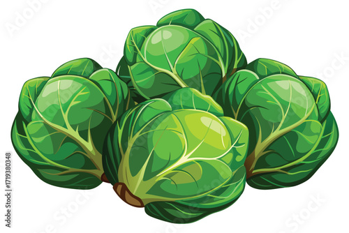 Fresh green brussels sprouts are closely bunched together in this design scene