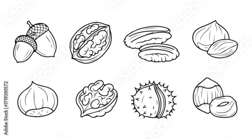 Collection of various nuts and seeds in a sketchy silhouette style