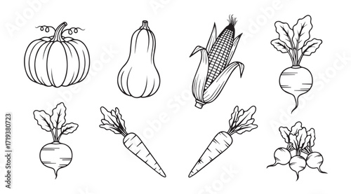 Collection of hand drawn vegetable silhouettes including pumpkin corn carrots and radishes silhouette