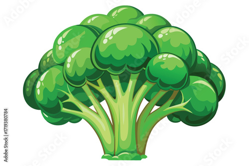 A fresh cartoon broccoli showcases vibrant green florets and thick, healthy stalks prominently displayed
