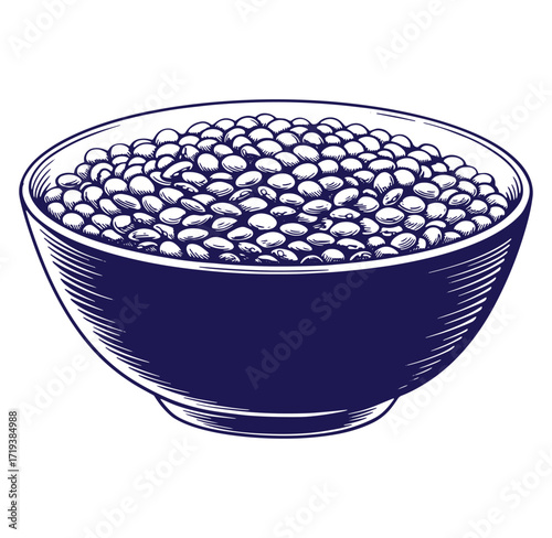 Hand drawn illustration of a bowl filled with nutritious lentil seeds for healthy eating