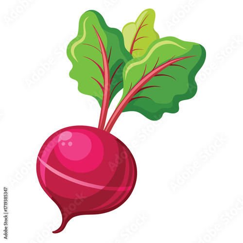 Fresh beet root displays vibrant green leaves, showcasing its natural and healthy appearance