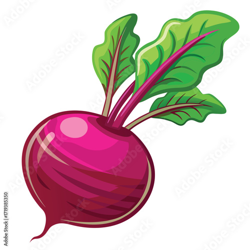 Fresh purple beet vegetable with vibrant green leaves is ready for healthy eating