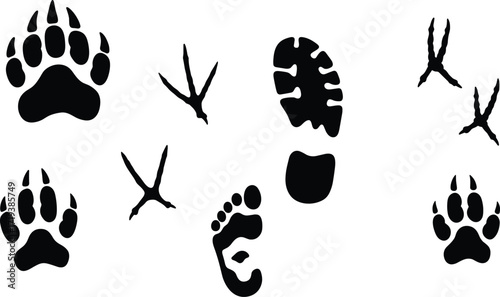 Silhouettes of Animal and Human Footprints Including Bear Paws, Bird Tracks, and Shoe Prints for Wildlife and Nature Design