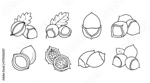 Collection of various nuts and seeds in a hand drawn silhouette style