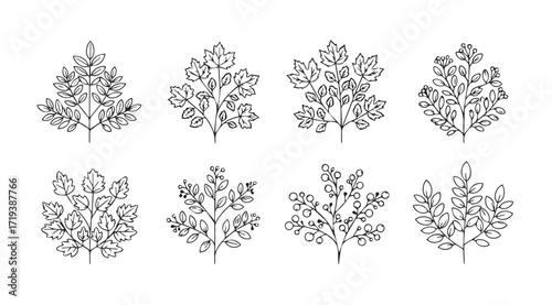 Collection of ornate botanical branch silhouettes with delicate leafy details