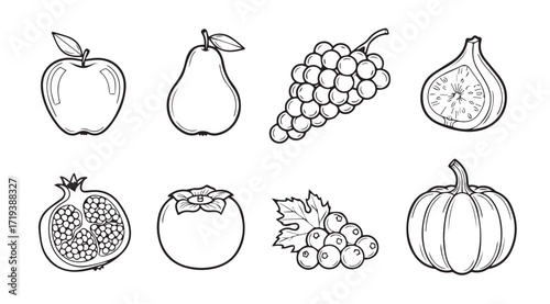 Collection of hand drawn fruit illustrations in a distinctive silhouette style