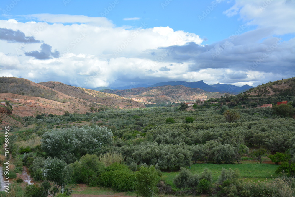 Naklejka premium view of the mountains