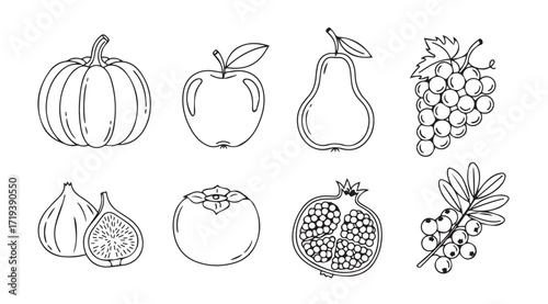 Collection of hand drawn fruit and vegetable silhouettes for autumn harvest silhouette