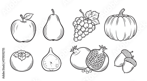 Collection of hand drawn fruit illustrations in a distinctive silhouette style