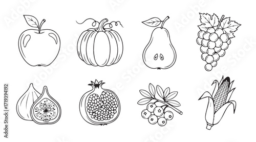 Collection of hand drawn fruit and vegetable silhouettes in outline style