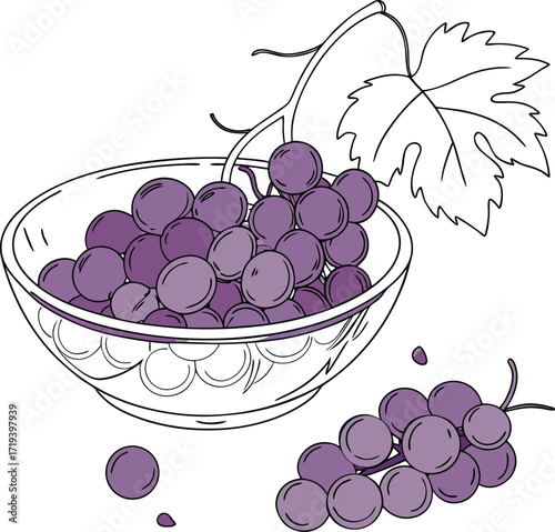 A colorful vector illustration shows a ripe bunch of purple and green grapes on a vine, alongside a glass of wine, ready for a fresh autumn harvest