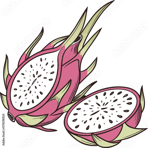 An exotic pink dragon fruit and ripe red apple vector illustration on a white background