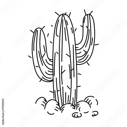 Cactus, a desert plant in doodle style. A prickly vertical plant in the ground with rocks. Divided branches, a desert drink. A prickly plant. Engraving, graphics, shading. American Indians