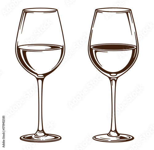 Elegant hand drawn illustration of two wine glasses filled with white wine beverage