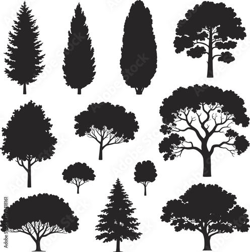 Tree silhouettes, forest shapes, botanical design, conifer and deciduous forms, nature art, woodland illustration, landscape trees, outdoor greenery, environmental graphic, plant outline
