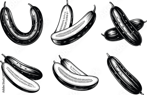 Cucumber illustrations, sliced cucumber drawings, vegetable art, botanical design, fresh produce vector, garden harvest clipart, healthy food graphic, organic farming image