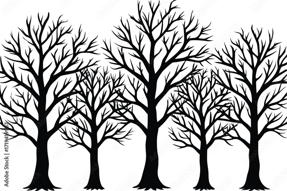 Obraz premium Black silhouette of five bare trees in winter nature