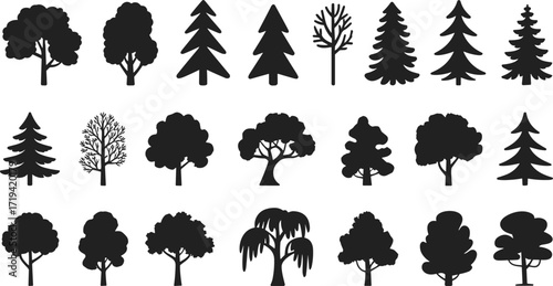 Tree silhouettes, forest shapes, botanical design, conifer and deciduous forms, nature art, woodland illustration, landscape trees, outdoor greenery, environmental graphic, plant outline
