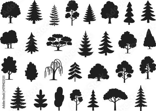 Tree silhouettes, forest shapes, botanical design, conifer and deciduous forms, nature art, woodland illustration, landscape trees, outdoor greenery, environmental graphic, plant outline